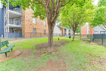 Grassy area
